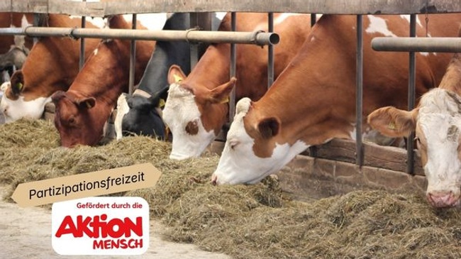 Partizipationsfreizeit für Kinder (7-9 Jahre) - Ferienfreizeit auf dem Bauernhof