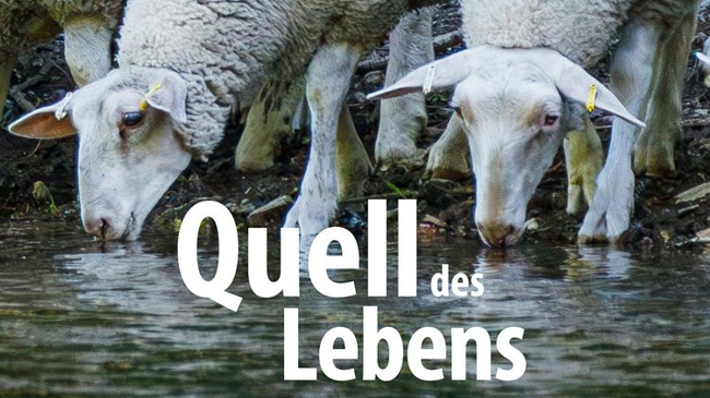 Quell des Lebens