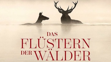 Das Flüstern der Wälder