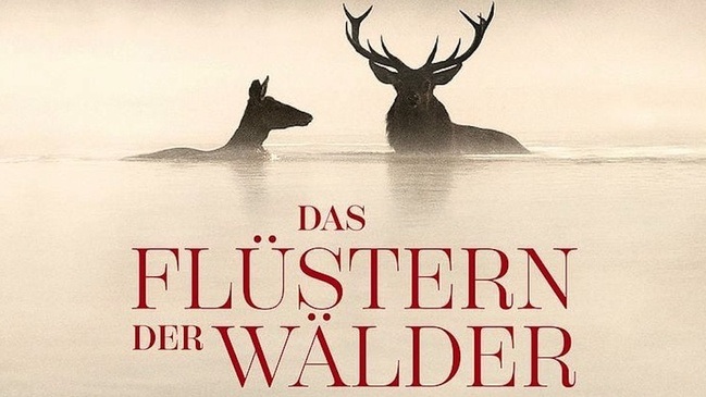 Das Flüstern der Wälder