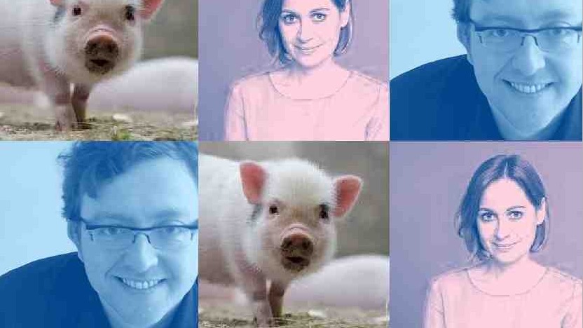 Das Schwein und ich