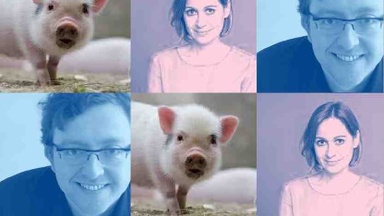 Das Schwein und ich