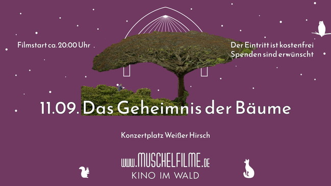 MUSCHELFILME FREILICHTKINO - Publikumsfilm: Das Geheimnis der Bäume