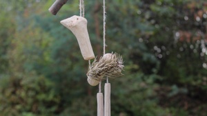 Mammut, Stein & Feuerschein