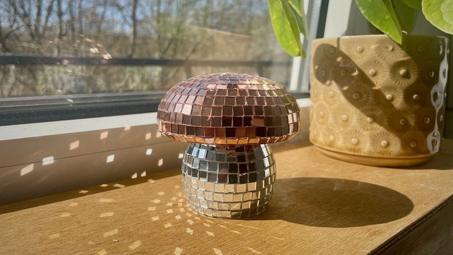 Create & Yap – Disco Pilz Workshop 🪩🍄