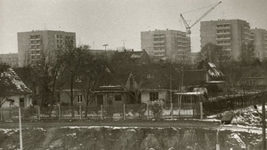 100 Jahre Grünau. Von der Siedlung zum Stadtviertel
