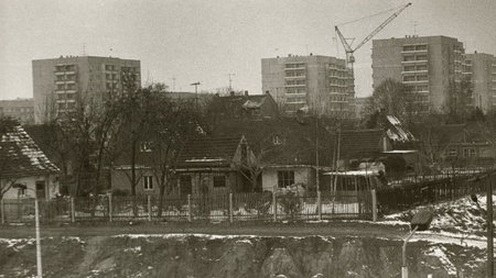 100 Jahre Grünau. Von der Siedlung zum Stadtviertel