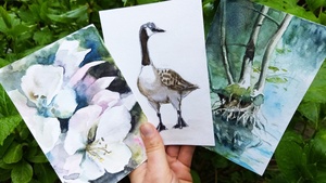 Aquarellmalerei für Anfänger