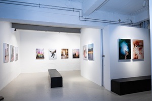 Galerie Kernweine // Art Alarm