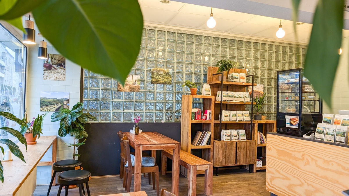 Pourover Workshop & Coffee Tasting