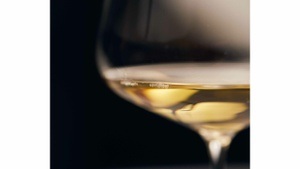 Weinseminar – Sensorik