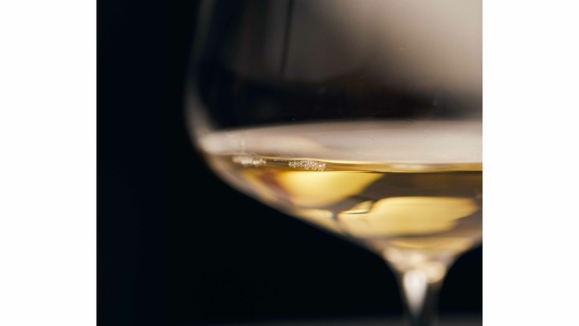 Weinseminar – Sensorik