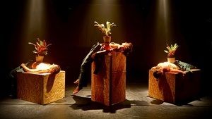 Der Kongress der Pflanzen - Ein fiktives choreobotanisches Szenario