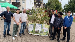 Wartburgplatz goes tiny forest