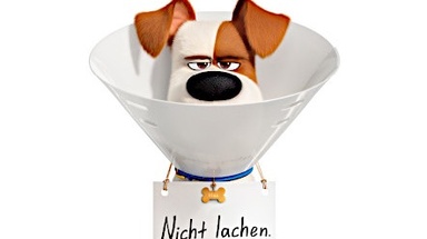 SOMMERKINO | 05.07.2026 | PETS 2