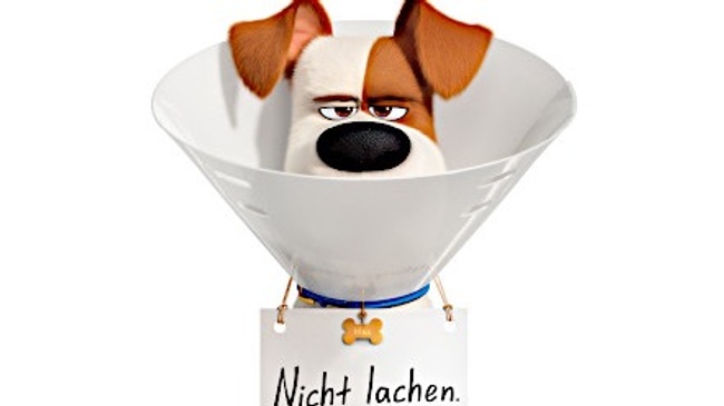 SOMMERKINO | 05.07.2026 | PETS 2