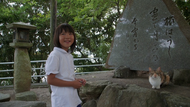 Die Katzen vom Gokōgū-Schrein