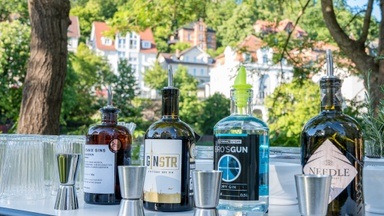 Gin Tastin g mit Stocherkahn Fahrt in Tübingen