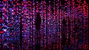 Pipilotti Rist. Pixelwald Wisera