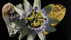 Rehearsing Invisible Heritage: A guided urban walk and collective rehearsal in public attention