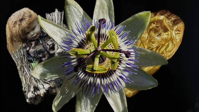 Rehearsing Invisible Heritage: A guided urban walk and collective rehearsal in public attention