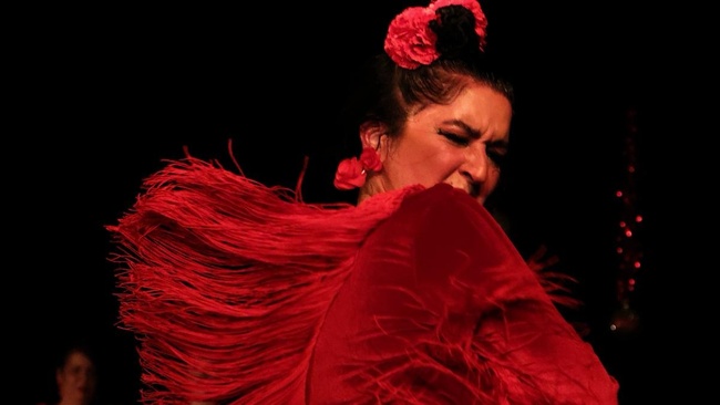 Roma-Tag-Festival 2026: NOELIA VARGAS FLAMENCO COMPANY – “SASTIPEN”
