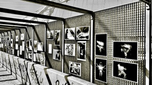 Preisverleihung Fotowettbewerb