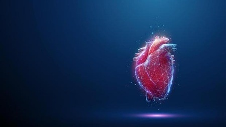 Wie bleibt die Liebe lebendig? Im Gespräch mit Ursula Nuber