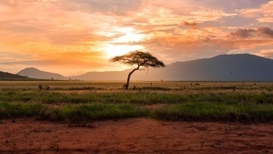 Reiseberichte und Musik: Kenia und Brasilien