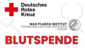 Blut spenden – Leben retten (mit Snacks & Science)