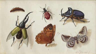 Wirklich. Kunst und Realität 1400 bis 1900