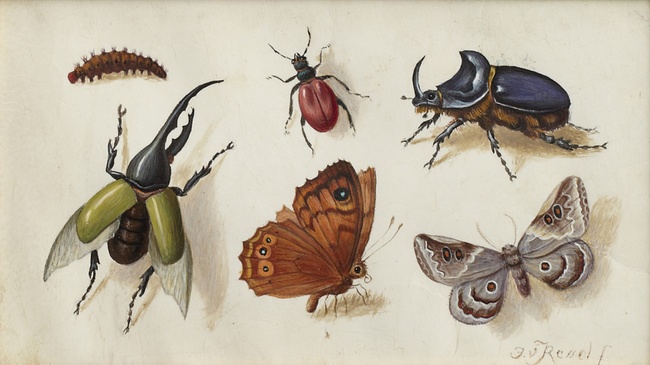 Wirklich. Kunst und Realität 1400 bis 1900