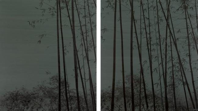 Sandra Kantanen  |  Bamboo Whispers in Fading Light
