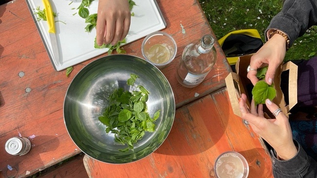 Essbare Bäume - Wildpflanzen-Kochkurs