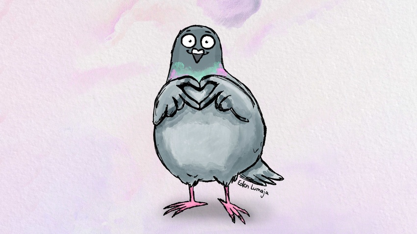 WerkStadtMuseum: Tauben liebhaben! Ein Herz für unterschätzte Stadtbewohner