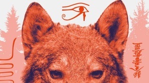 Magic Market – das ganze Museum ein Fest!