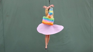 Tages Ticket // Day Pass 24.Mai | CircusDanceFestival 2026