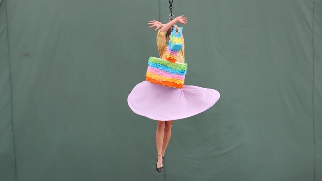 Tages Ticket // Day Pass 24.Mai | CircusDanceFestival 2026