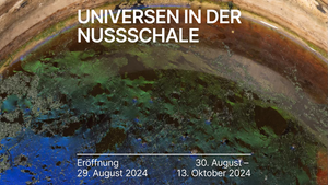 Universen in der Nussschale