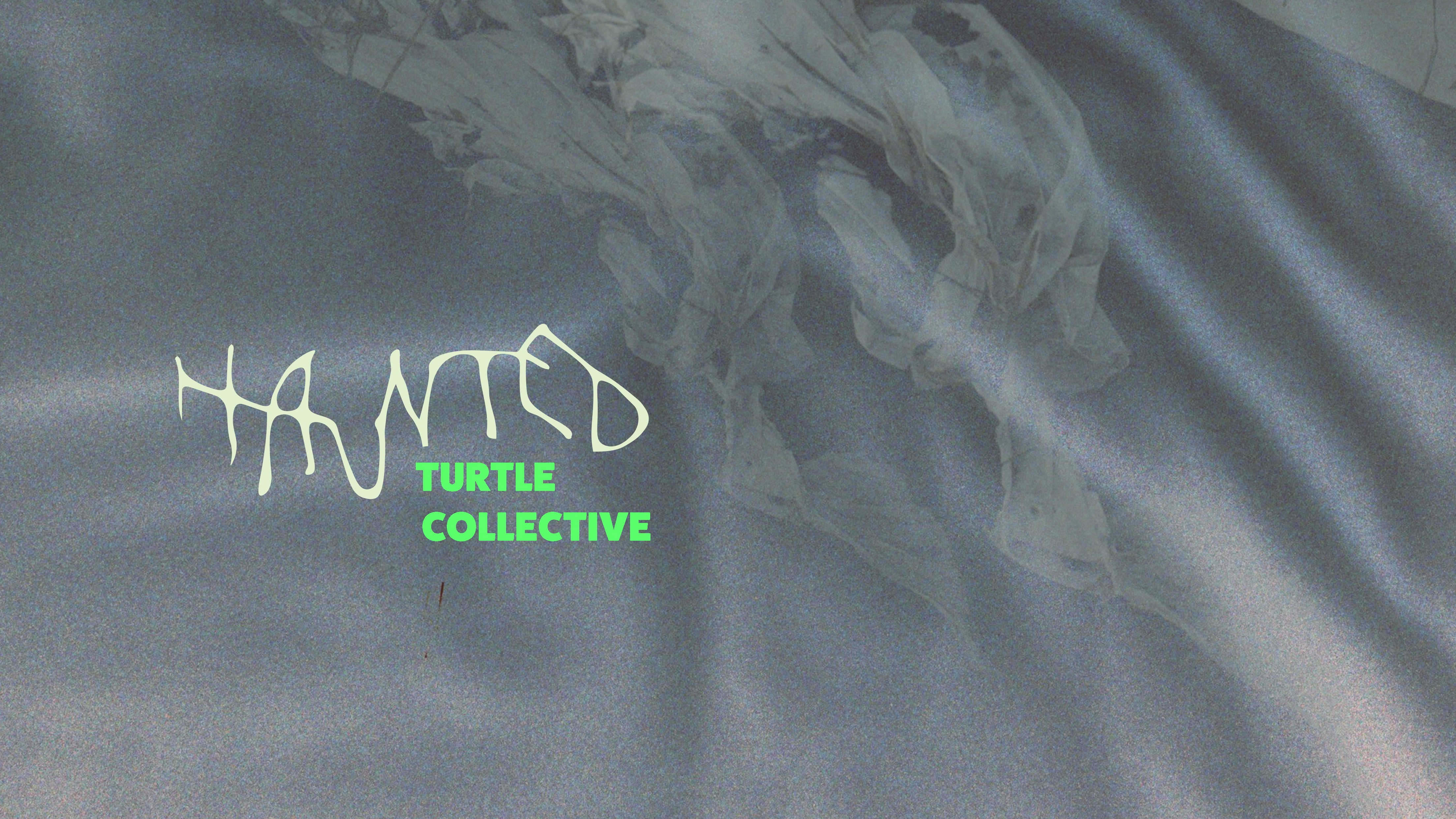 Vernissage 1 des Turtle Collective - haunted