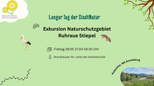 Exkursion Naturschutzgebiet Ruhraue Stiepel
