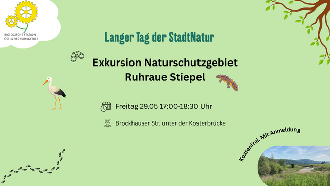 Exkursion Naturschutzgebiet Ruhraue Stiepel