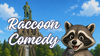 Raccoon Comedy Kassel