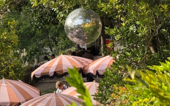 The perfect festival for your summer drink!