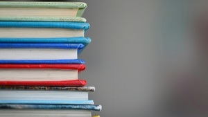 Buchvorstellung «Klima und Kapitalismus. Plädoyer für einen ökologischen Sozialismus