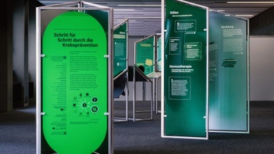 Schritt für Schritt durch die Krebsprävention