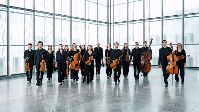 Niels Gade Chamber Orchestra "Klangdenkmäler"
