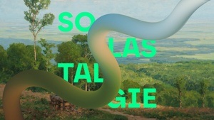 Ausstellung "SOLASTALGIE. Spaziergänge durch veränderte Landschaften"
