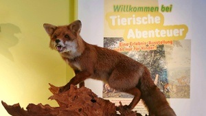 "Tierische Abenteuer. Eine Erlebnisausstellung - nicht nur für Kinder!"