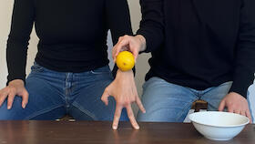 Nach Zitrone schmeckt die Welt